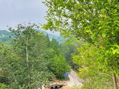 -白水寺森林公园