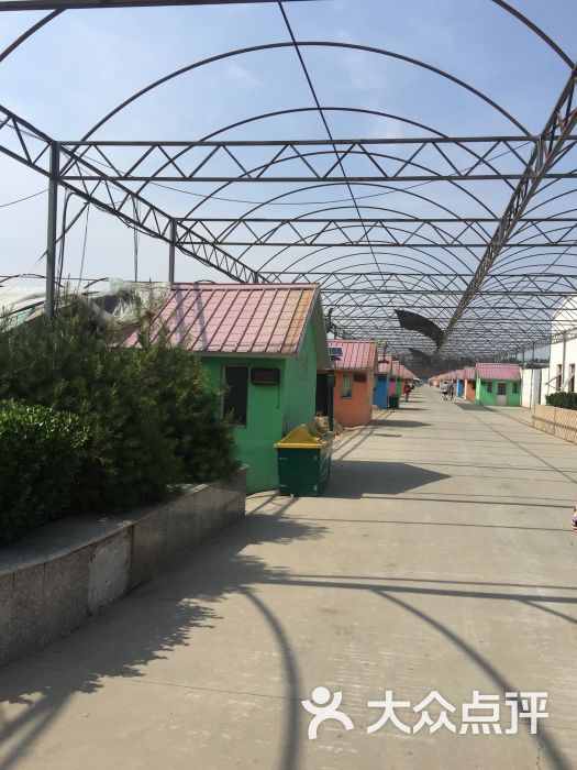 绿得金生态园图片 - 第6张