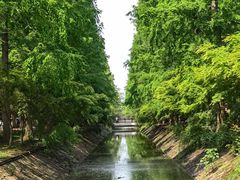 -东平国家森林公园