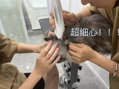 -爱洗澡的猫(天河路店)