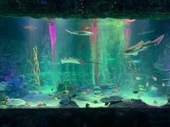 -沈阳海洋探索中心