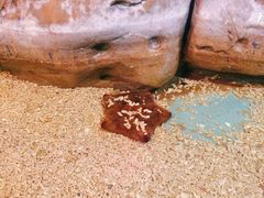 -重庆欢乐海底世界