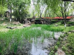 -西安浐灞国家湿地公园