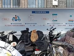 -山东大学(趵突泉校区)
