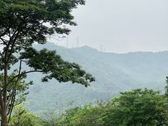 -白石龙音乐公园