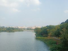 -风云岭森林公园