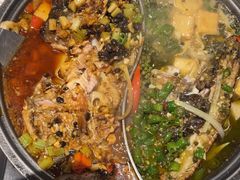 -锦尚阁烤鱼(望京新荟城店)