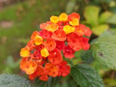 -共青国家森林公园-售票处