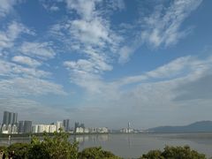 -福田红树林生态公园