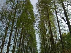 -上海植物园·停车场