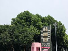 -铁山坪森林公园