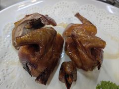 -港升鱼师傅·中山脆肉鲩