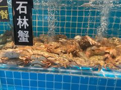 -SEA西雅图海鲜自助餐厅(海乐世界店)