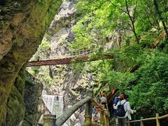 -牛背梁国家森林公园