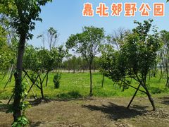 -嘉北郊野公园