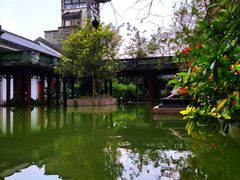 -广州神农草堂中医药博物馆