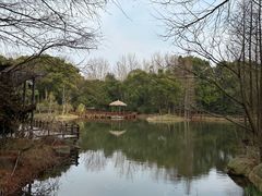 -上海滨江森林公园