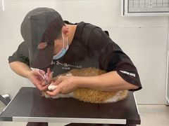 -comecome来吧宠物(奥克斯中心店)