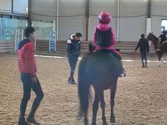 -上林马术中央公园·户外露营·团建·骑乘