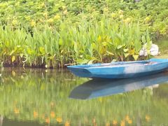 -映月湖公园