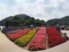 -广州市石门国家森林公园