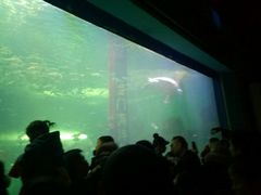 -洛阳龙门海洋馆