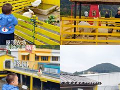 -宁波九龙湖开元度假村