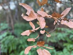 -余氏豆腐包老店(东直街店)