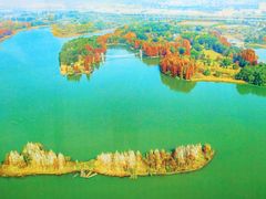 -东湖落雁景区