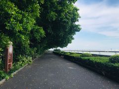 -大湾区中央湿地公园