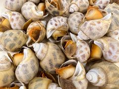 -馨越楼·点心·粤菜(赤坎店)