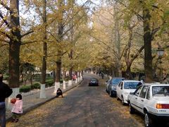 android_upload_pic-八大关景区