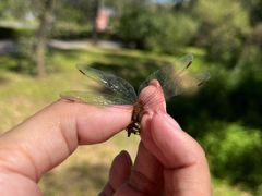 -沈阳森林动物园
