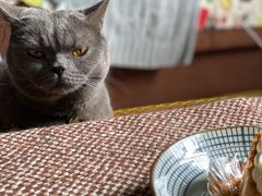 -La Porte de Paris 巴黎之门法式甜品