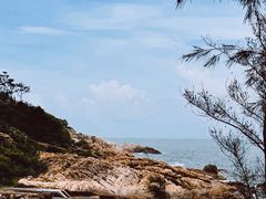 -广东惠东海龟国家级自然保护区