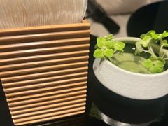 -君悦酒店·大堂酒吧·高空下午茶·暮色微醺