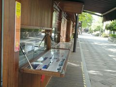 -运河游船(武林门码头)