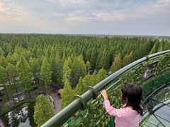 -黄海国家森林公园