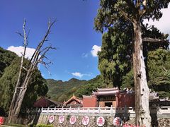 -灵光寺