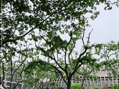 -杭州君悦酒店