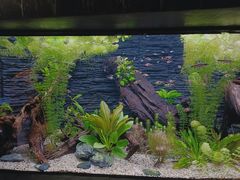 -上海海洋水族馆