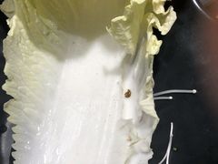 -呷哺呷哺(万达新世界店)
