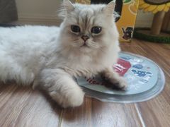 -肥朵食堂(带梦胡同店)