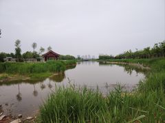 -水西公园