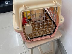 -爱侣宠医·鹦鹉专科·小型哺乳类·异宠专科(灵石路店)