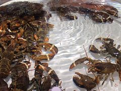 -万龙洲海鲜(大兴绿地缤纷城店)