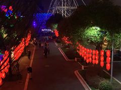 -锦江乐园舞狸花花游园会(夜场专享)
