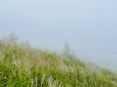 -灵山