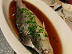 -喜来登由由大酒店九州膳坊中餐厅
