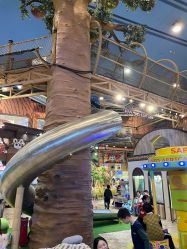 -卡通尼·Safari非洲探索乐园·生日会(金桥国际商业广场店)